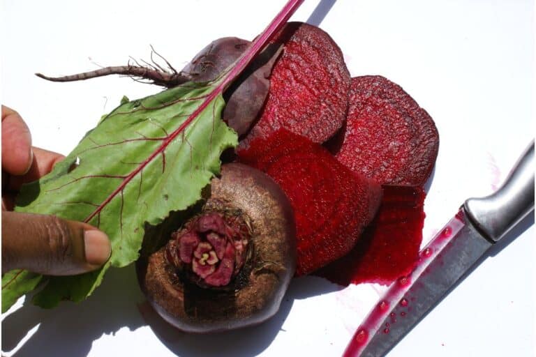 beterraba é low carb