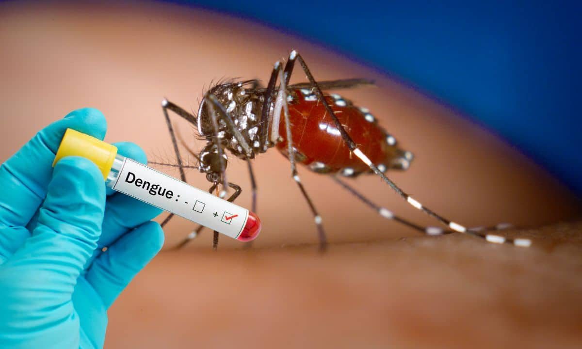 Casos de dengue aumentam 189% em todo o país