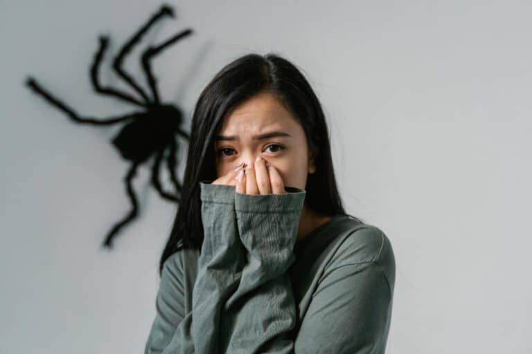 fobias de aranha