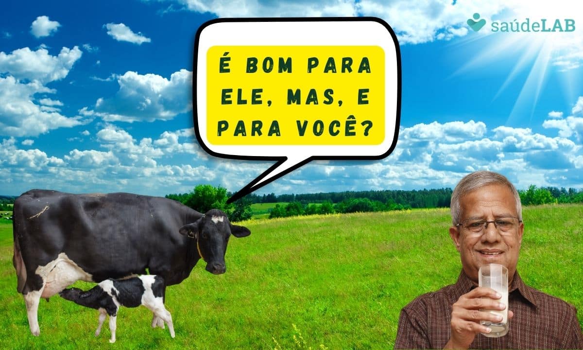 Leite de vaca faz mal à saúde? Veja 5 condições para ficar de olho bem aberto 1 Leite de vaca faz mal à saúde? Foto: Canva PRO