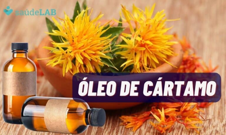 Óleo de Cártamo ajuda a combater o colesterol e mais; conheça seus benefícios 5 Óleo de Cártamo