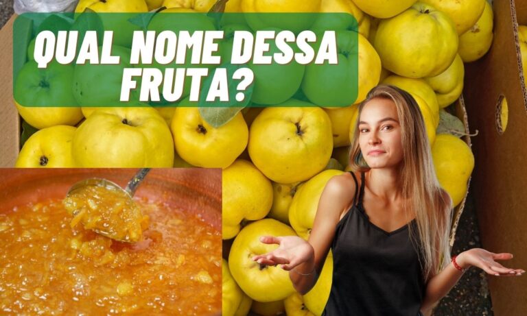 Marmelada é feita de que fruta? Faz bem para saúde? Descubra! 2 Marmelada é feita de que fruta?