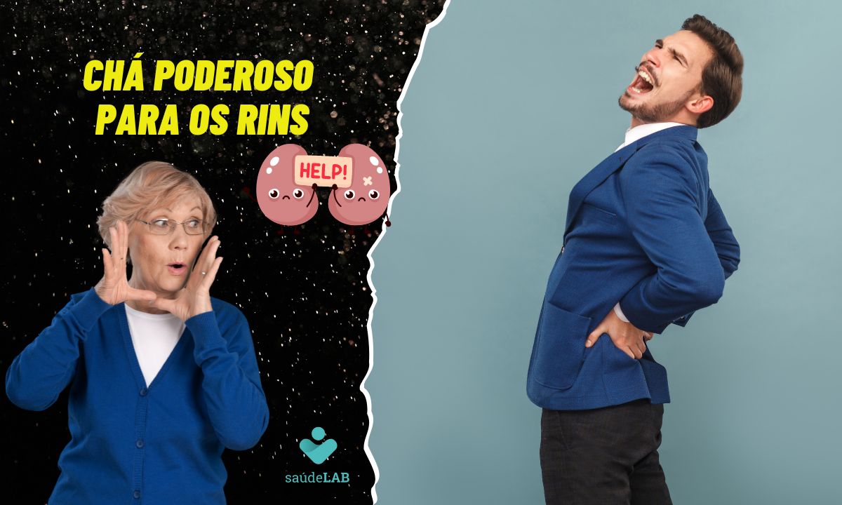 Chá para os rins: confira as melhores opções para melhorar sua saúde 1 Chá para os rins.