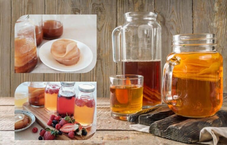 Como fazer Kombucha? Aprenda a forma correta de armazenamento 3 Como fazer kombucha?