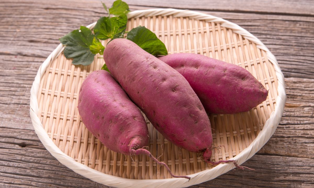 Batata Doce: como comprar, armazenar, limpar e preparar para o consumo 1 Batata Doce.