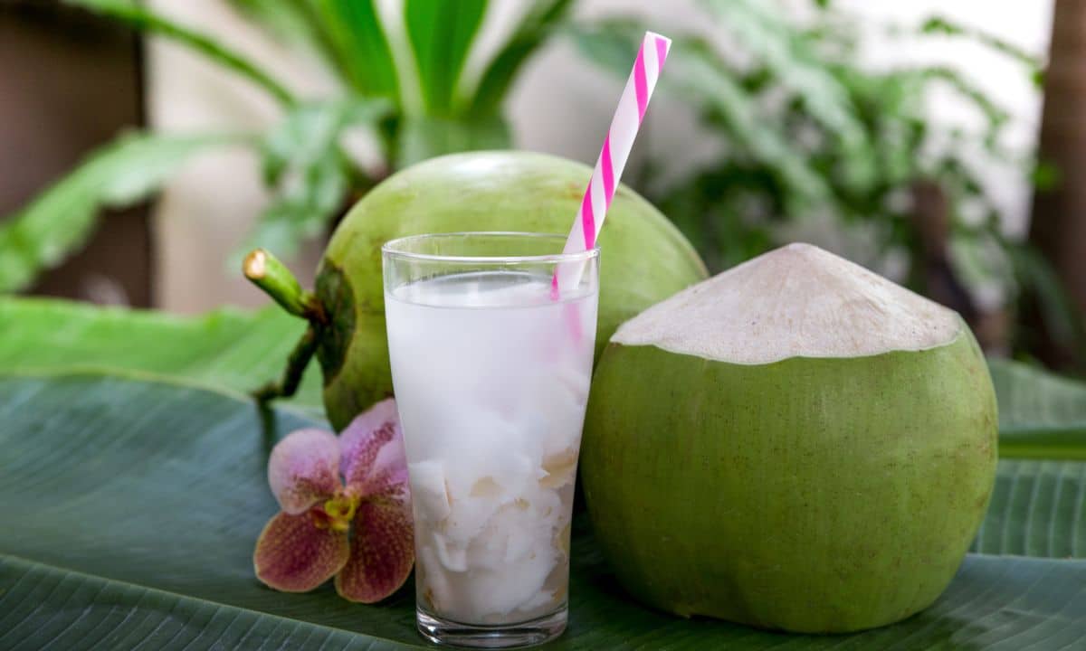 Água de Coco: conheça 10 benefícios para sua saúde e não deixe de tomar 1 Benefícios da Água de coco.