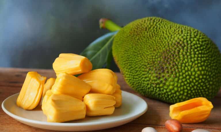 Benefícios da Jaca: saiba as razões para investir na fruta 8 Benefícios da Jaca.