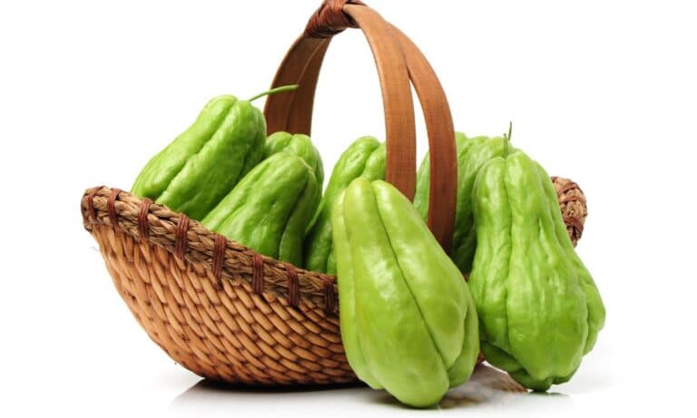 Benefícios do Chuchu.