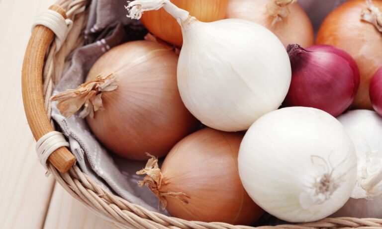 Tudo sobre a Cebola: como comprar, armazenar, limpar e preparar para o consumo 5 Cebola