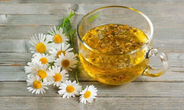 Chá Cicatrizante: confira 7 melhores opções indicadas para o pós cirúrgico 5 Chá Cicatrizante.