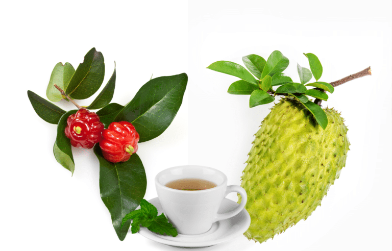 Para que serve o chá de folha de pitanga? E o chá de folha de graviola? Descubra agora 7 Chá da folha de pitanga e chá da folha de graviola.