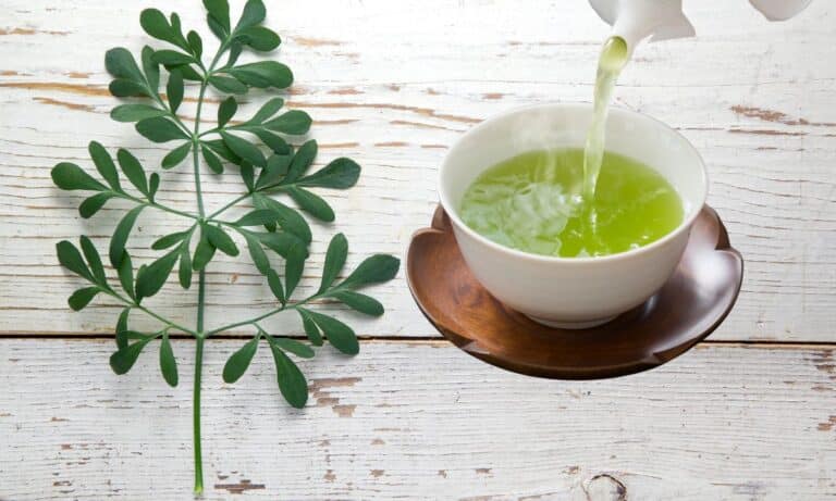 Chá de Arruda requer muito cuidado! Conheça para quem ele indicado e contraindicado 4 Chá de arruda.