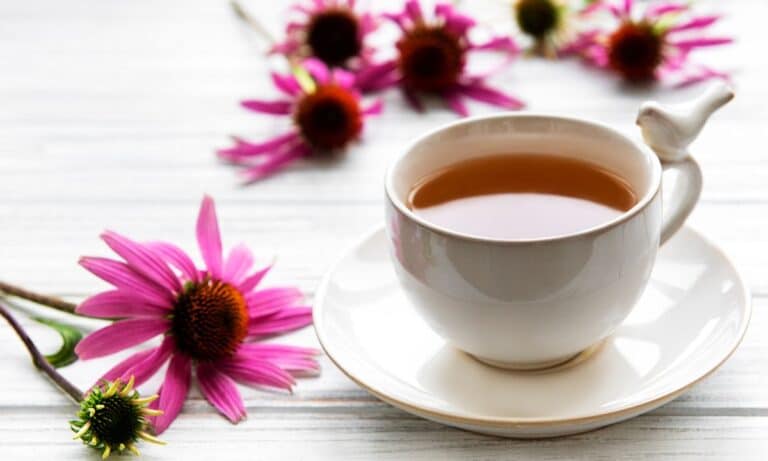 Chá de Equinácea: conheça 6 benefícios e saiba como preparar corretamente 7 Chá de Equinácea.