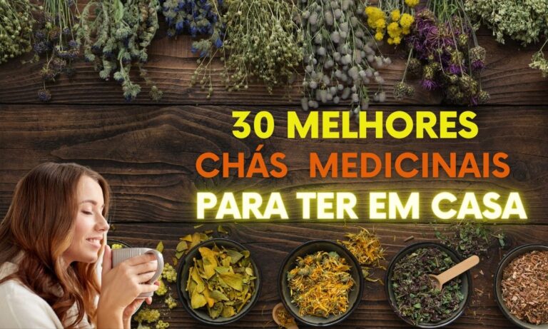 Chá Medicinal: 30 opções poderosas para ter sempre em casa 1 Chá Medicinal.