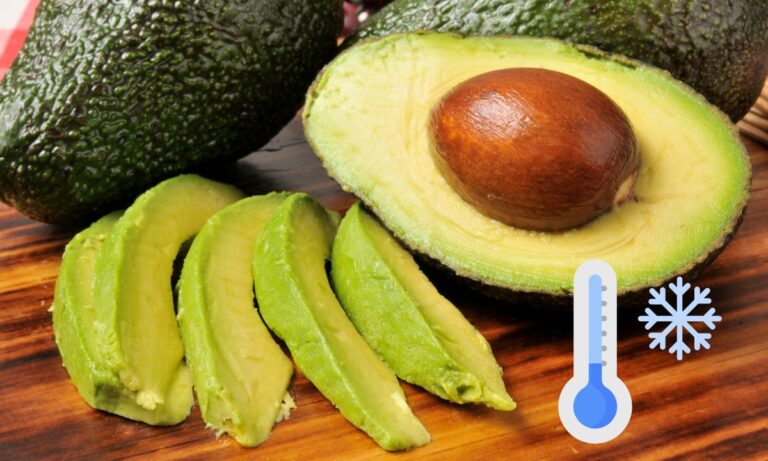 Como congelar abacate do jeito certo e evitar que ele acabe estragando 3 Como congelar o abacate.