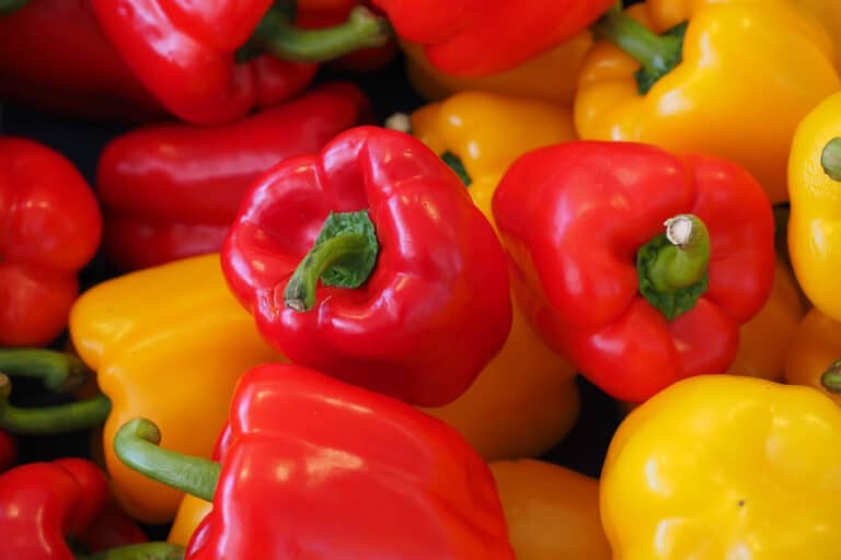 Como fazer para congelar pimentão? Veja dicas para evitar o desperdício
