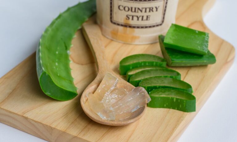 Sobrou babosa? Saiba como conservar e por quanto tempo pode guardar 6 Como conservar a babosa.