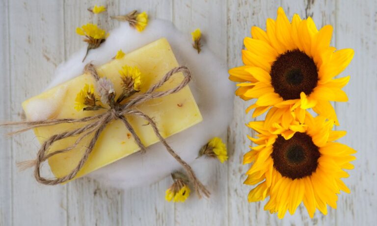 Sabonete de Girassol: para que ele serve? Como usá-lo corretamente? 7 Sabonete de Girassol