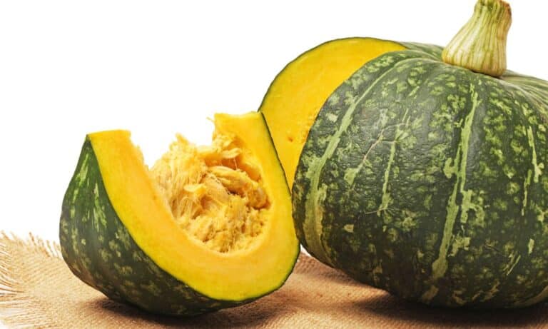 Abóbora Cabotian: como comprar, armazenar, limpar e preparar para o consumo 1 Abóbora Cabotian.