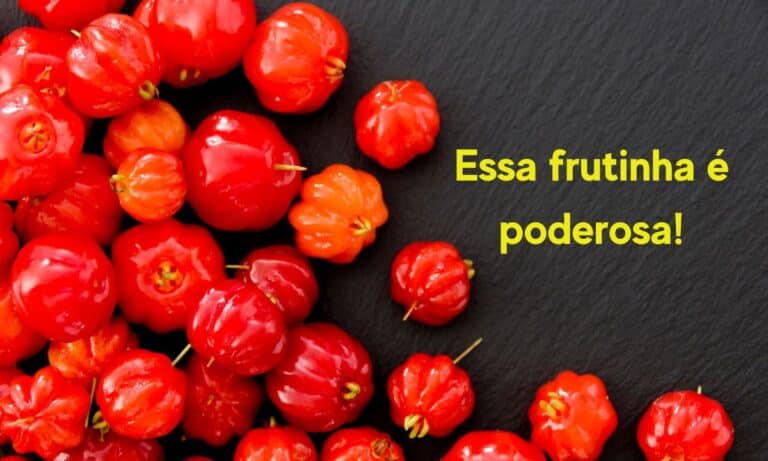 Benefícios da Pitanga: conheça 10 motivos para comer mais essa azedinha 8 Benefícios da Pitanga.
