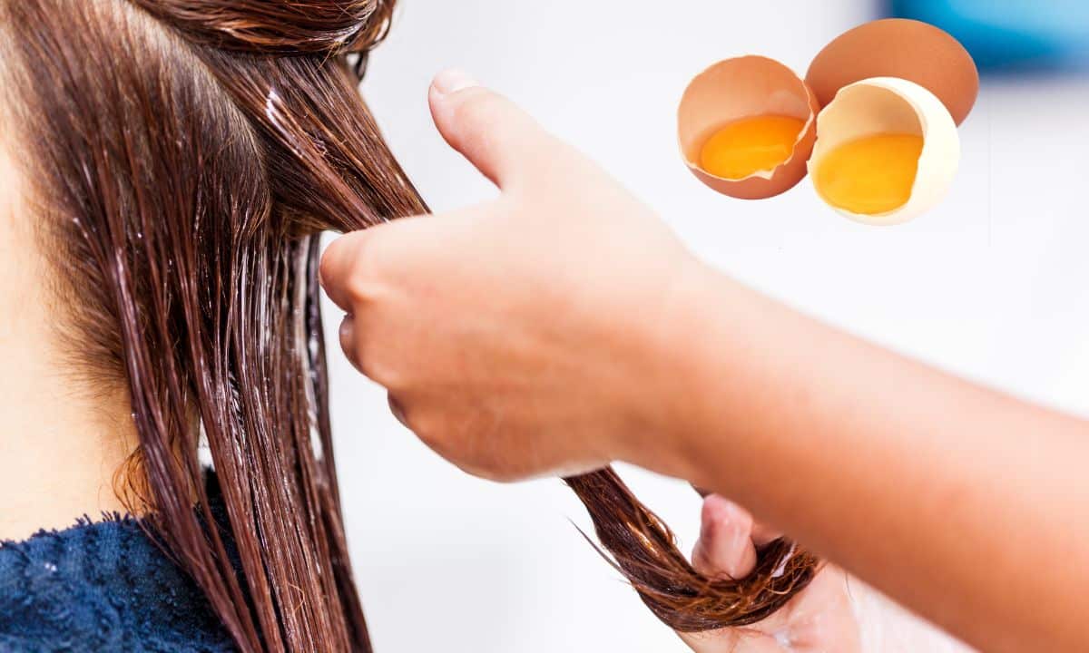 Benefícios do ovo para os cabelos.