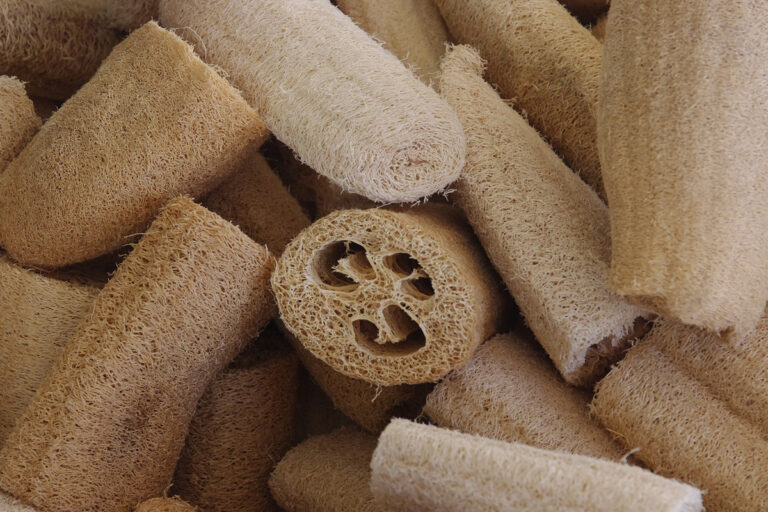 10 motivos para trocar sua esponja de banho sintética pela bucha vegetal 5 10 motivos para trocar sua esponja de banho sintética pela bucha vegetal