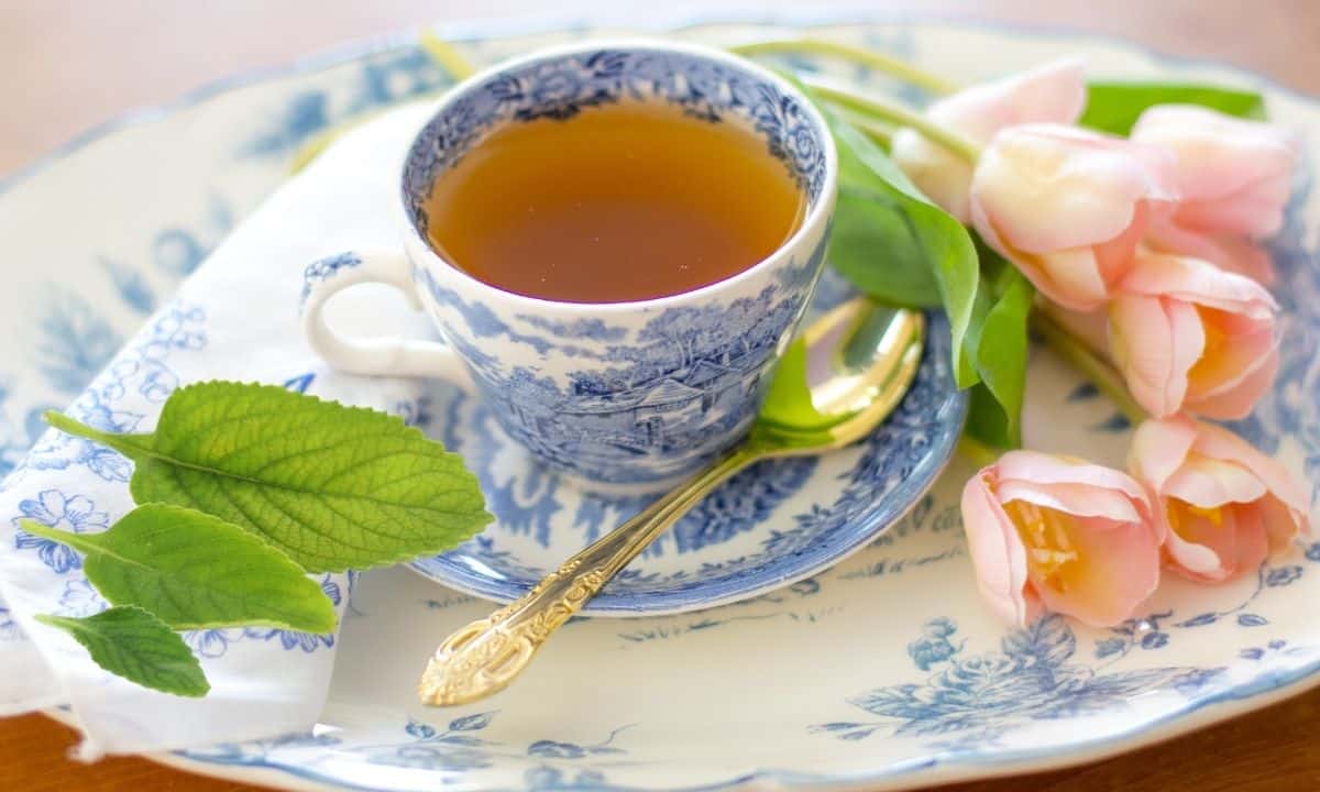 Chá de boldo faz mal par os rins?