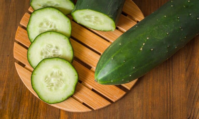 Como congelar pepino? Veja dicas importantes para mantê-lo conservado 1 Como congelar pepino.