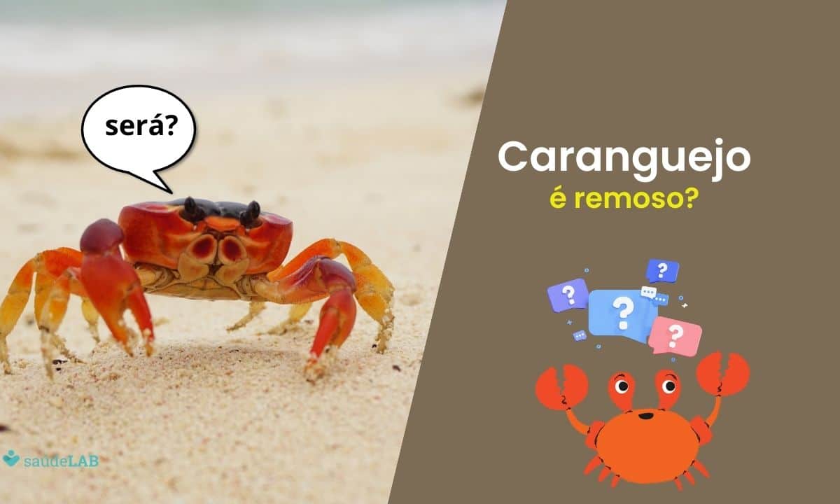 Caranguejo é remoso? Conheça os seus principais benefícios e malefícios 1 Caranguejo é remoso.