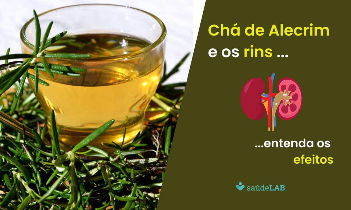 O chá de alecrim faz mal para os rins? Entenda os cuidados agora mesmo! 1 Chá de alecrim faz mal para os rins.