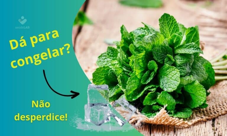 Saiba como congelar hortelã e outras folhas frescas sem que elas estraguem 1 Congelar hortelã e folhas frescas.