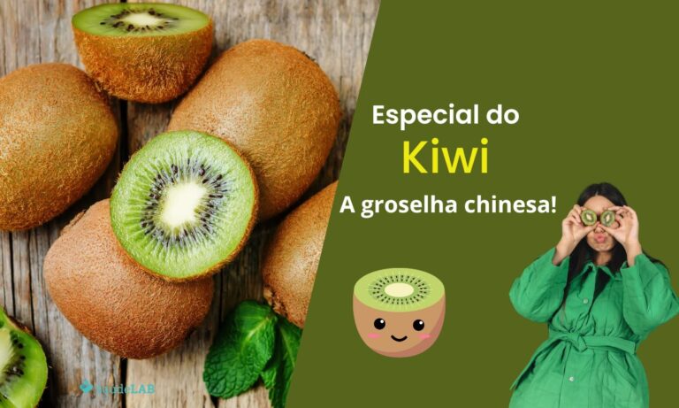 Tudo sobre o kiwi.