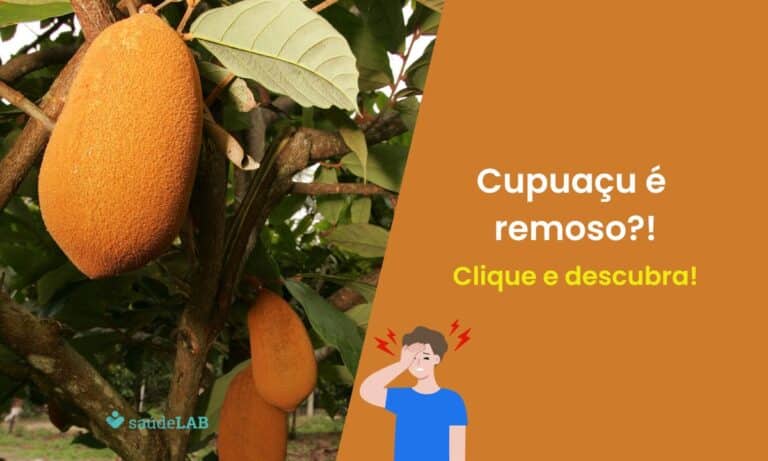 Cupuaçu é remoso? Saiba agora os cuidados que ele requer 1 Cupuaçu é remoso.