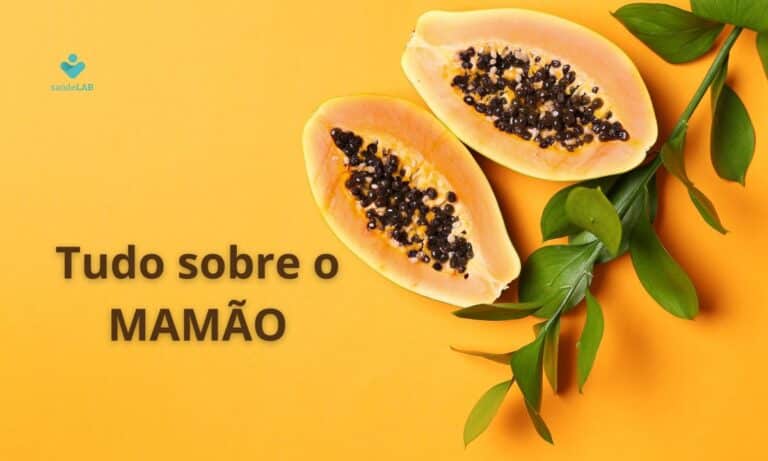 Mamão: como comprar, armazenar, limpar e preparar para consumir sem problemas 3 Tudo sobre o mamão.