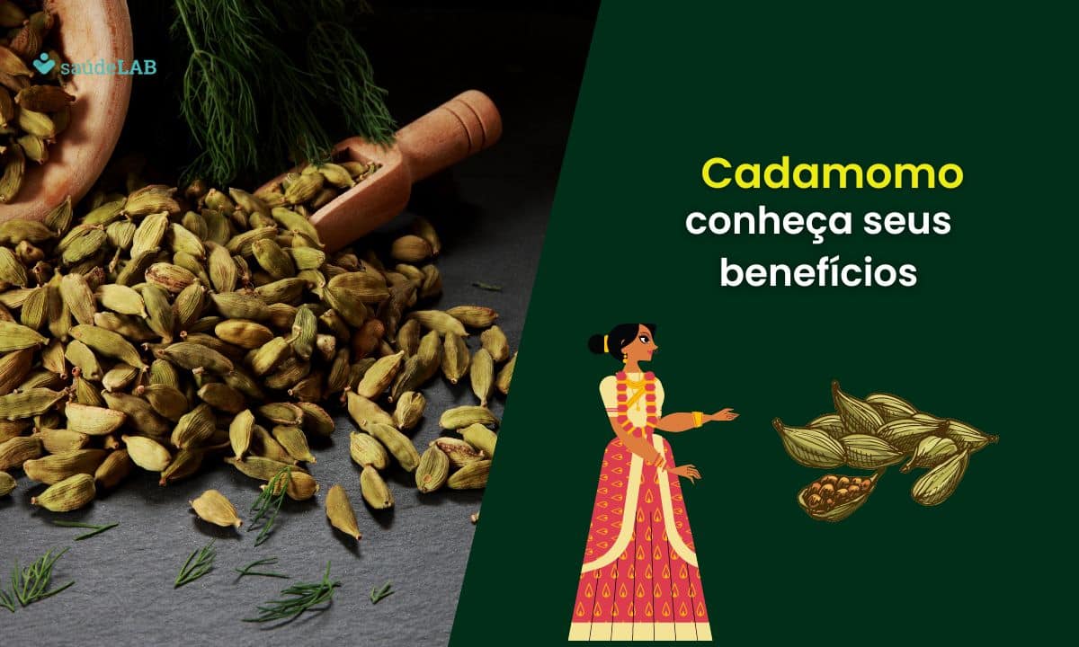 Benefícios do cardamomo: conheça essa especiaria maravilhosa e rica em antioxidantes 1 Benefícios do cardamomo.