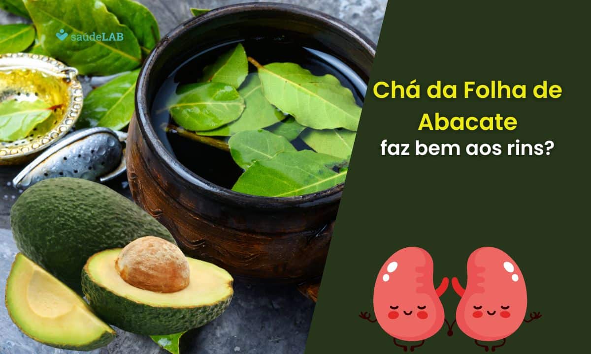 Chá de folha de abacate é bom para os rins? Surpreenda-se 1 Chá da folha de abacate faz bem aos rins.