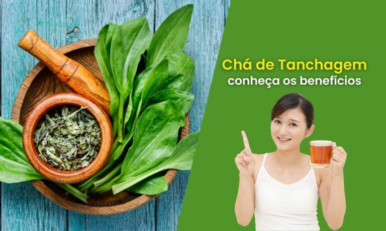 Chá de Tanchagem: conheça seus benefícios e saiba como usar 4 Chá de Tanchagem.