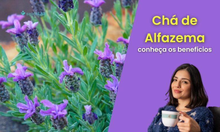 Chá de Alfazema é bom para quê? Conheça seus benefícios incríveis 2 Chá de Alfazema é bom pra quê?