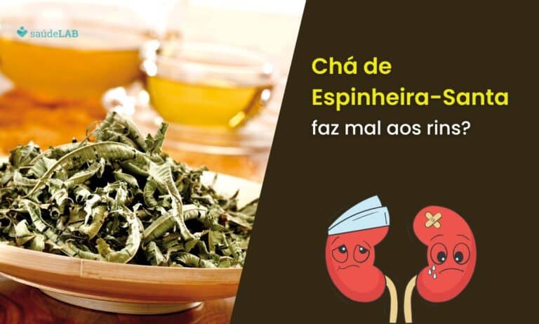 Espinheira-santa faz mal para os rins? Descubra tudo, agora mesmo! 7 Chá de espinheira-santa faz mal aos rins.