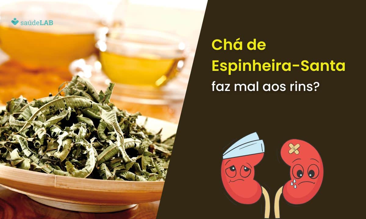 Espinheira-santa faz mal para os rins? Descubra tudo, agora mesmo! 1 Chá de espinheira-santa faz mal aos rins.