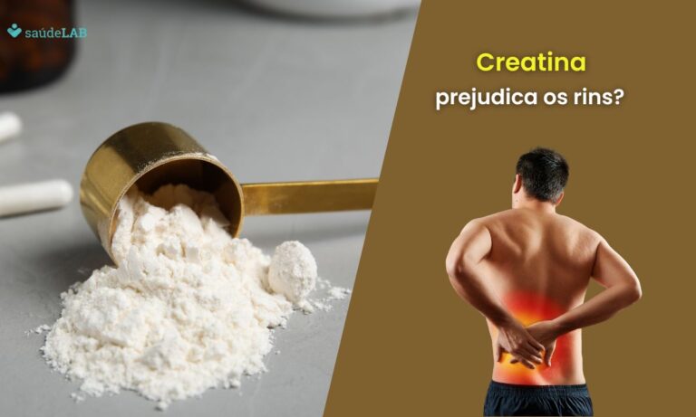 Creatina faz mal para os rins? Entenda seus efeitos e os perigos envolvidos 6 Creatina faz mal para os rins.