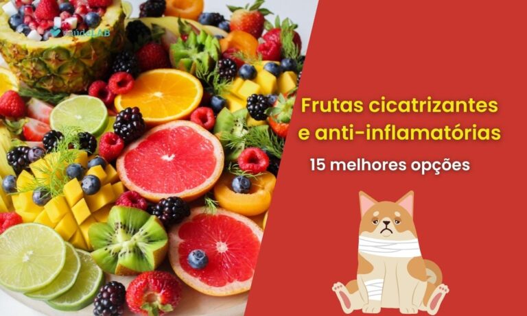 Frutas cicatrizantes e anti-inflamatórias: 15 opções para aproveitar os benefícios 1 Frutas cicatrizantes e anti-inflamatórias.