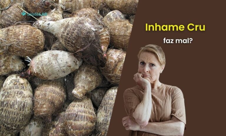 Inhame cru faz mal para a saúde? Saiba toda a verdade sobre ele 5 Inhame cru faz mal.