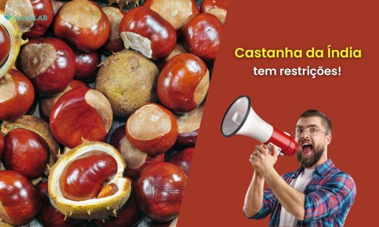 Quem não pode tomar castanha-da-índia? Saiba tudo sobre as contraindicações 1 Quem não pode tomar castanha-da-Índia