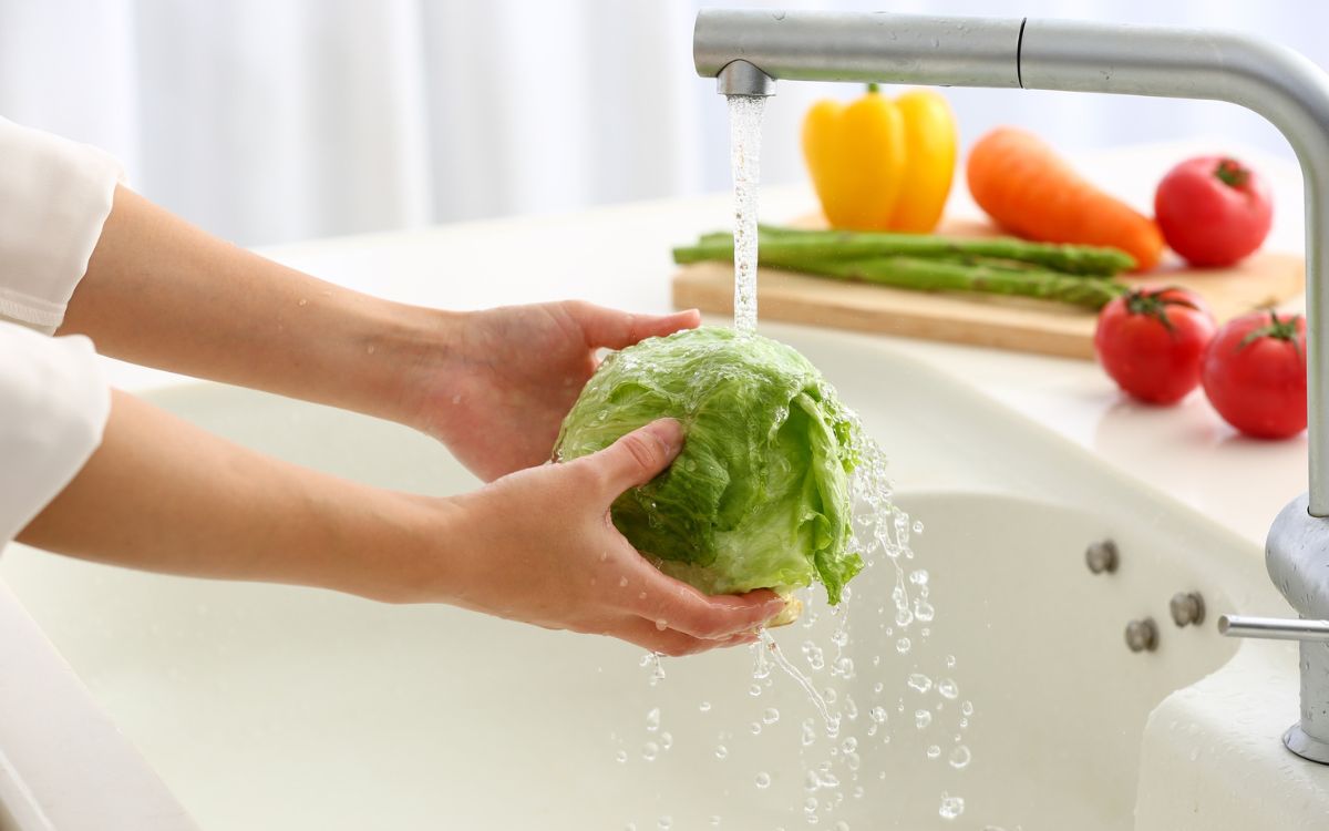 Quem tem pedra na vesícula pode comer alface