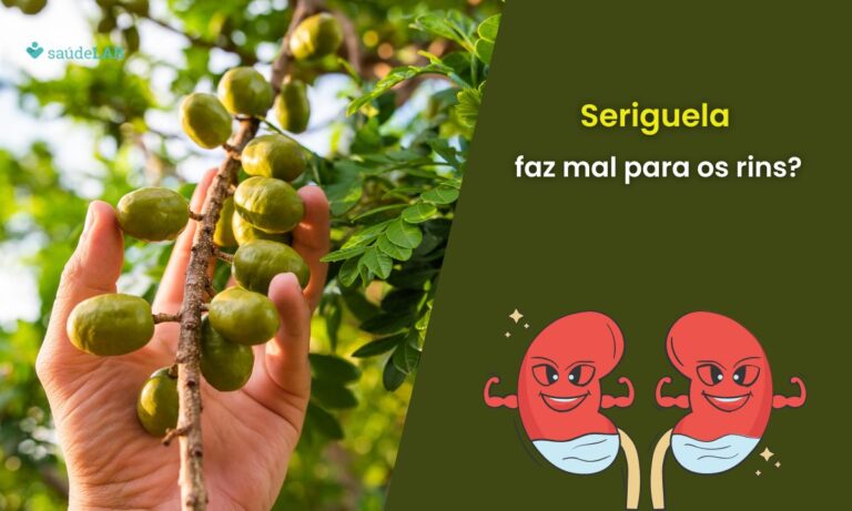 Seriguela faz mal para os rins? Saiba quais os benefícios e malefícios dela 8 Seriguela faz mal para os rins.