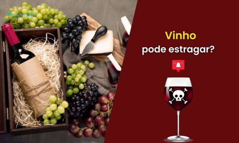 Será que o vinho estraga? Descubra qual a melhor forma de conservar ele 3 Vinho estraga.