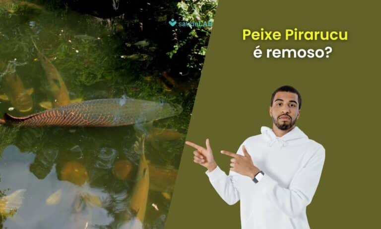 Pirarucu é remoso.