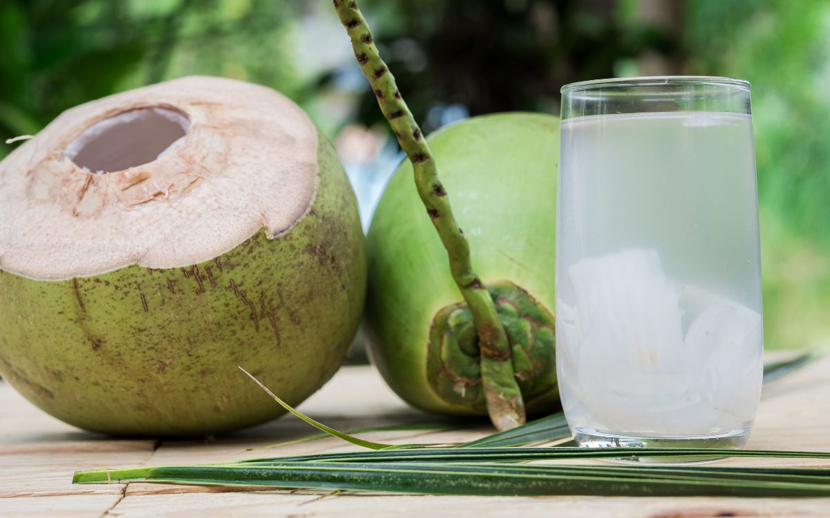 Água de coco prende o intestino? Entenda o que acontece 3 Água de coco prende o intestino