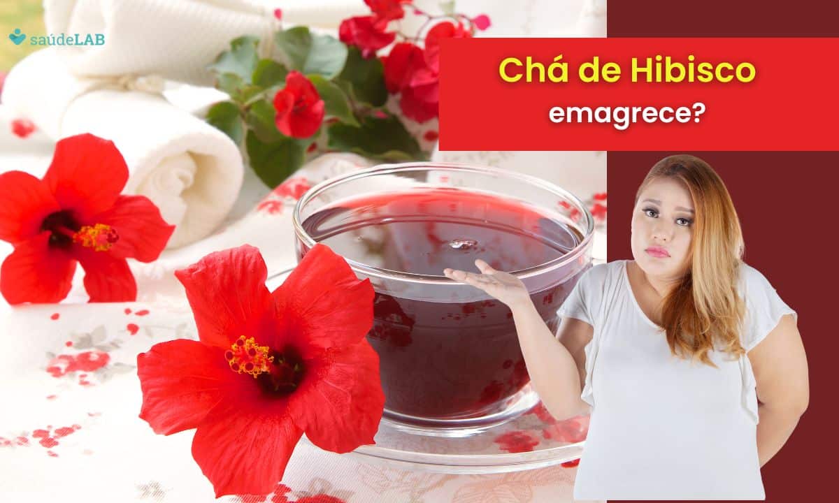 Hibisco emagrece? Atente-se à melhor forma de consumir essa planta 1 Hibisco emagrece.